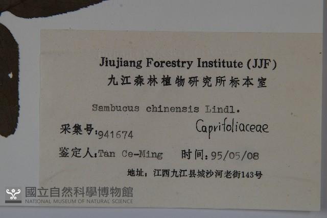 冇骨消藏品圖，第2張