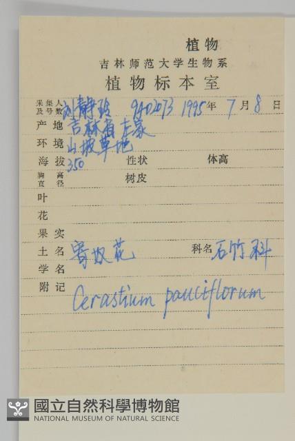 寄奴花藏品圖，第2張