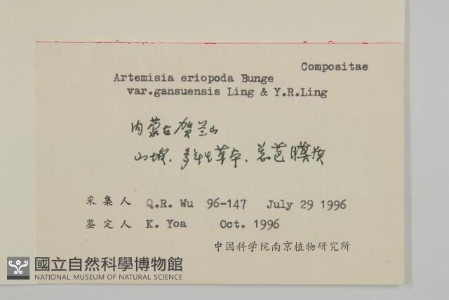 甘肅南牡蒿藏品圖，第2張