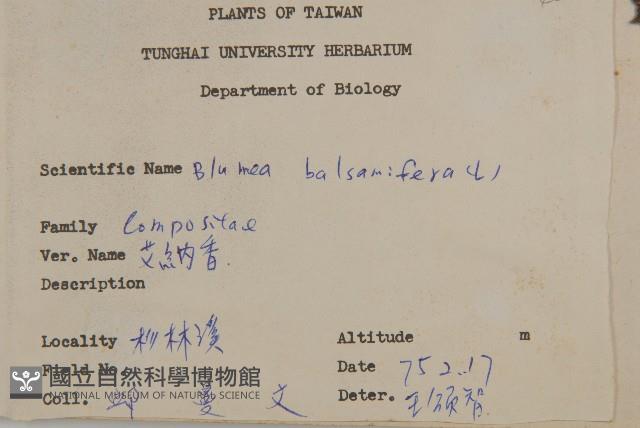 臺灣馬蘭藏品圖，第2張