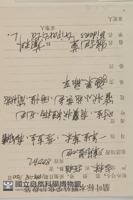 狼把草藏品圖，第2張