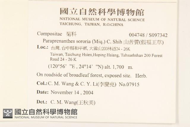 山苦藚、假福王草藏品圖，第2張