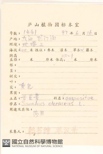 苦滇菜、苦菜藏品圖，第2張