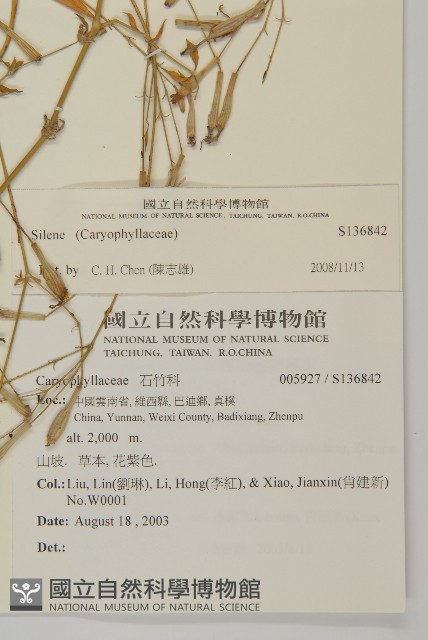 登錄號:S136842藏品圖，第2張