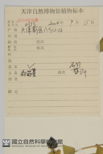 狗筋蔓藏品圖，第2張