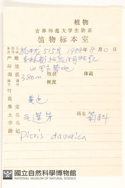 興安毛蓮菜藏品圖，第2張