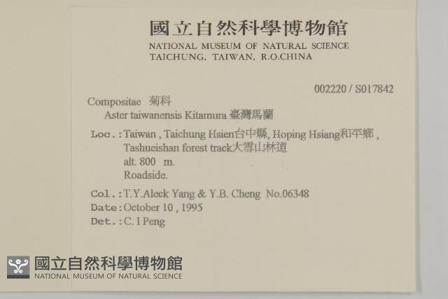 臺灣馬蘭藏品圖，第2張