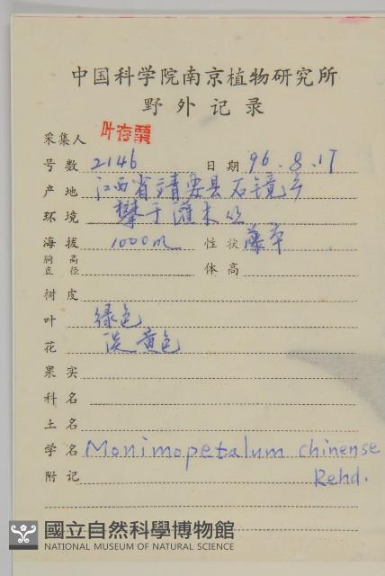 永瓣藤藏品圖，第2張