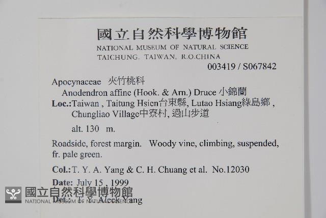 小錦蘭藏品圖，第2張