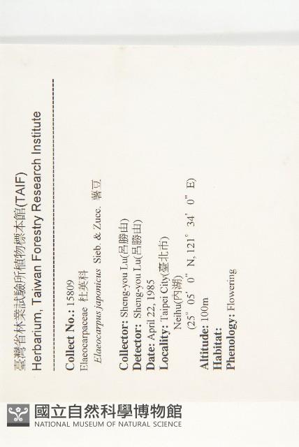 薯豆藏品圖，第2張