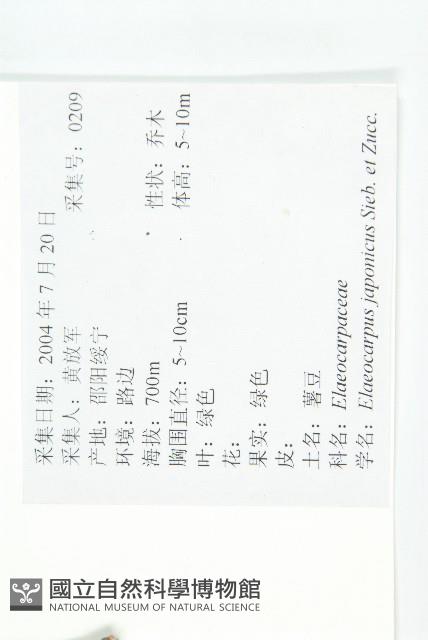 薯豆藏品圖，第2張