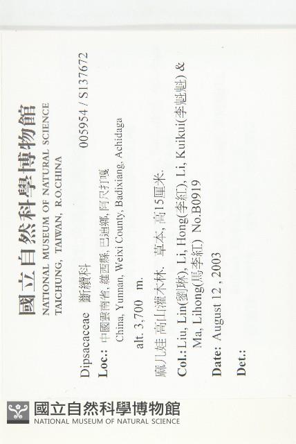 登錄號:S137672藏品圖，第2張