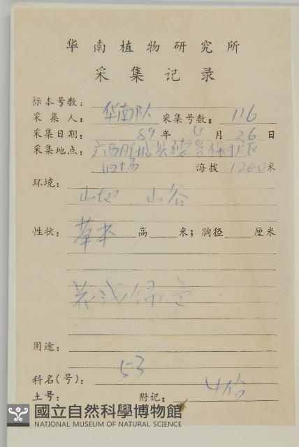 雀舌草藏品圖，第2張