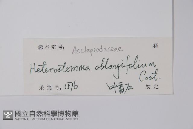 催乳藤藏品圖，第2張