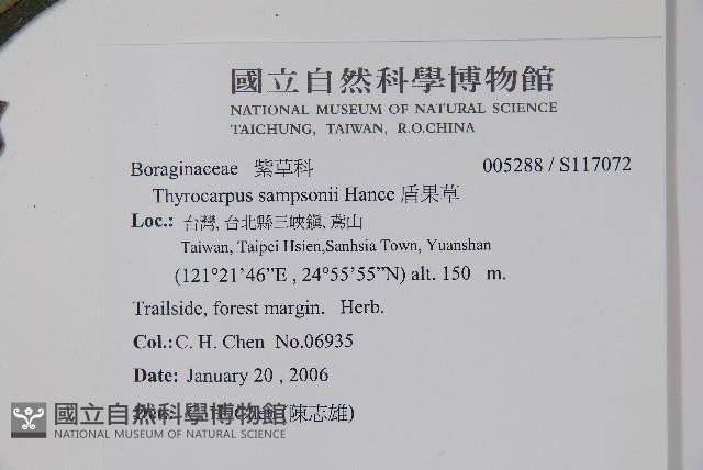 盾果草藏品圖，第2張