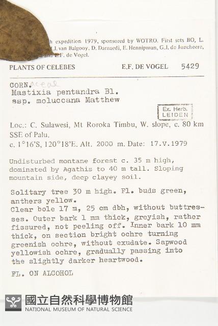 登錄號:S047072藏品圖，第2張