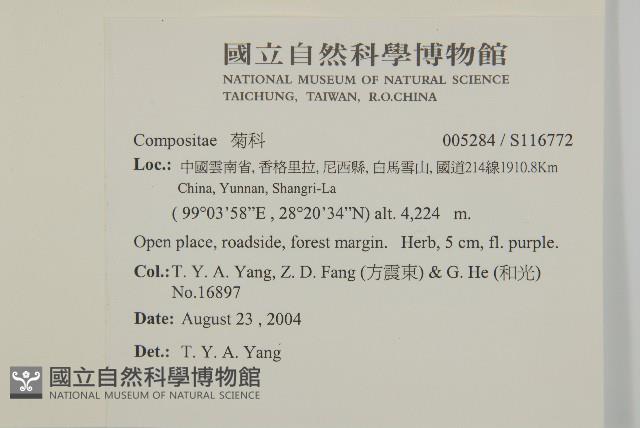 登錄號:S116772藏品圖，第2張