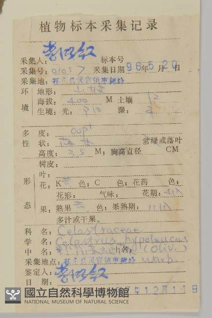 粉背南蛇藤藏品圖，第2張
