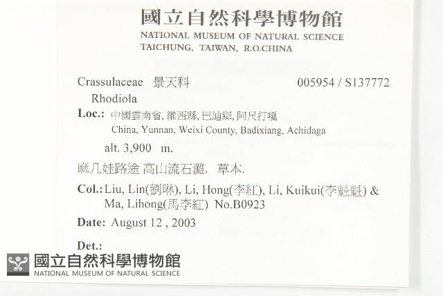 登錄號:S137772藏品圖，第2張