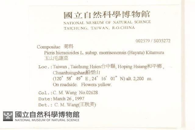 玉山毛蓮菜藏品圖，第2張