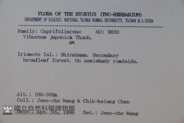 日本莢迷藏品圖，第2張