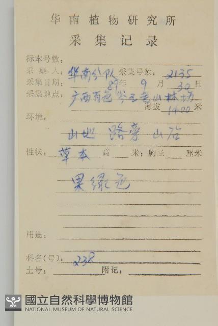 長穗兔兒風藏品圖，第2張