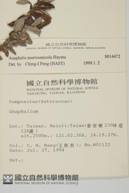 玉山抱莖籟簫藏品圖，第2張