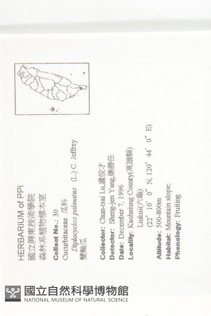 雙輪瓜藏品圖，第2張