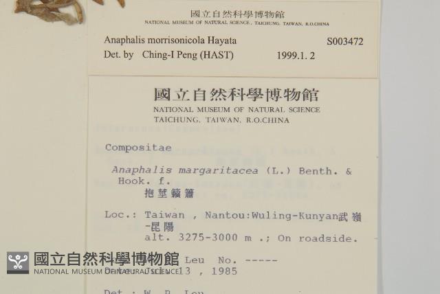 玉山抱莖籟簫藏品圖，第2張