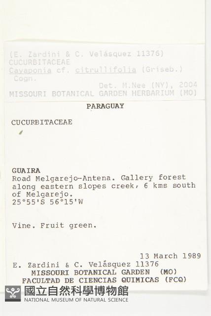 登錄號:S097472藏品圖，第2張