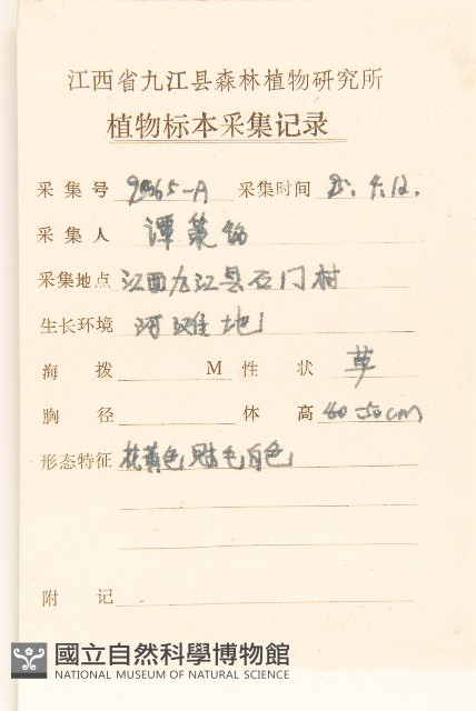 苦滇菜、苦菜藏品圖，第2張