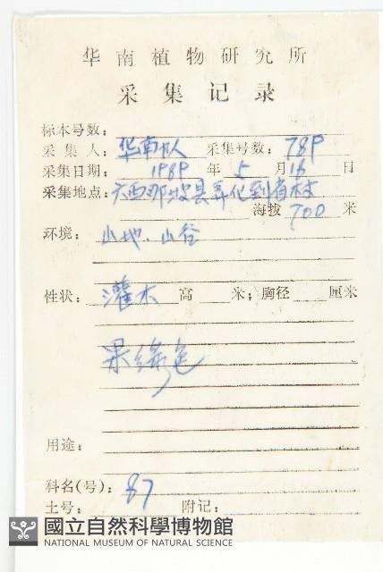 馬桑藏品圖，第2張