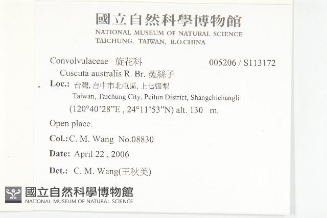 菟絲子藏品圖，第2張