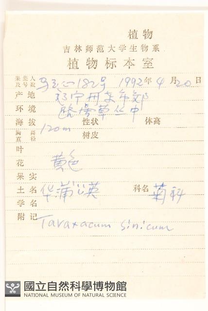 華蒲公英藏品圖，第2張