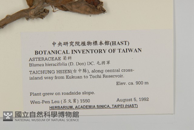 毛將軍藏品圖，第2張