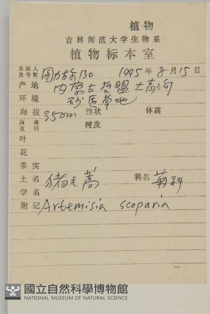 黃蒿藏品圖，第2張