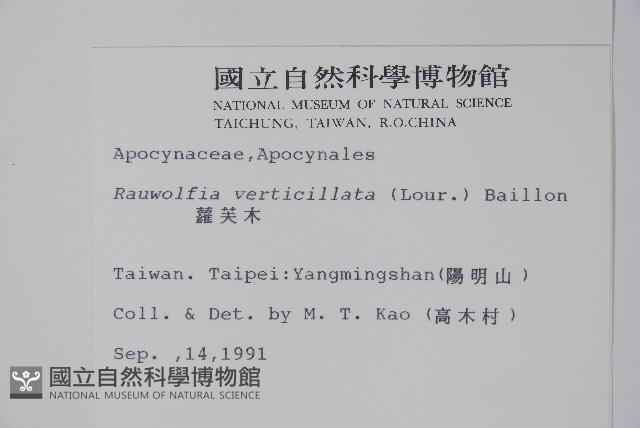 蘿芙木藏品圖，第2張