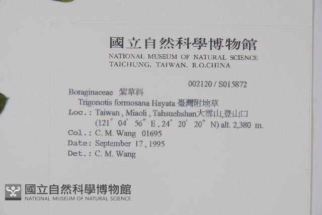 臺灣附地草藏品圖，第2張