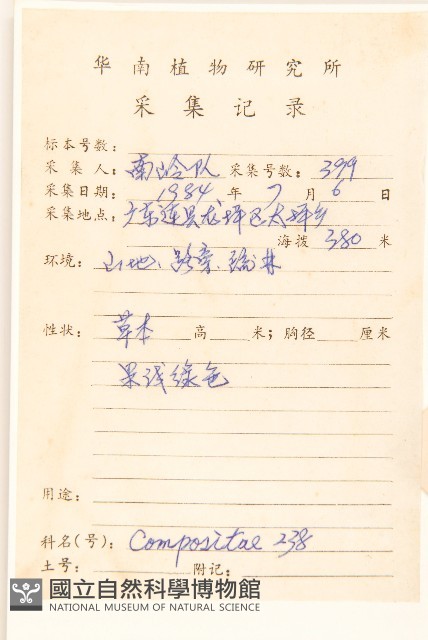 兔兒傘藏品圖，第2張