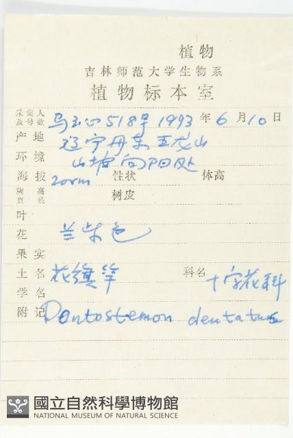 花旗竿藏品圖，第2張