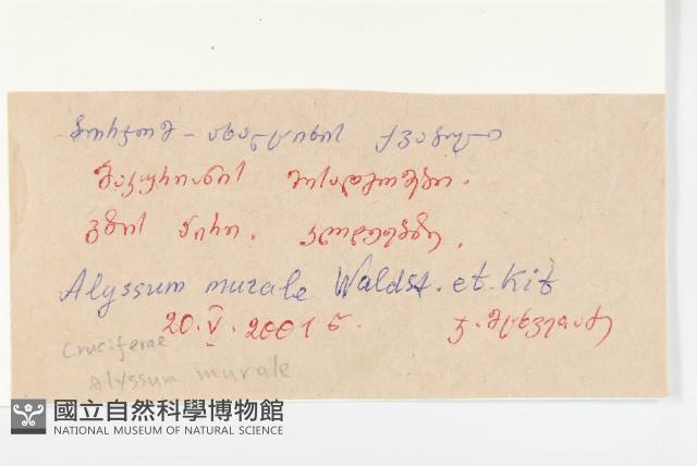 登錄號:S097572藏品圖，第2張