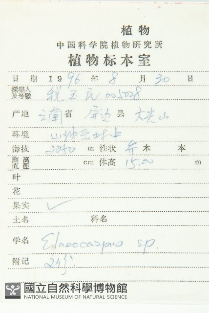 冬桃藏品圖，第2張