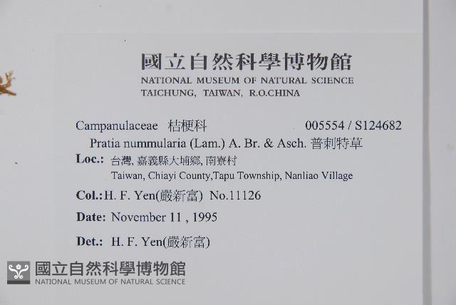 普剌特草藏品圖，第2張