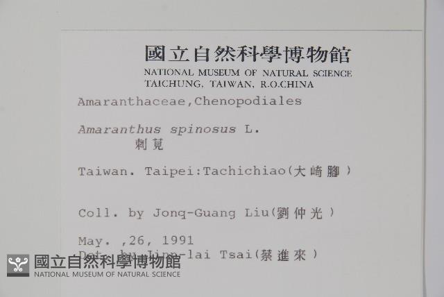 刺莧藏品圖，第2張