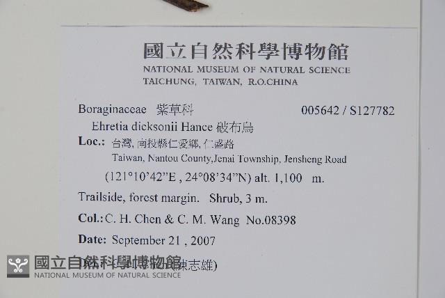 破布烏藏品圖，第2張