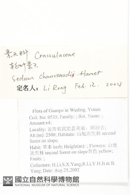 輪葉景天藏品圖，第2張