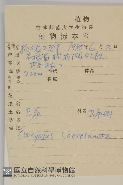 衛矛藏品圖，第2張