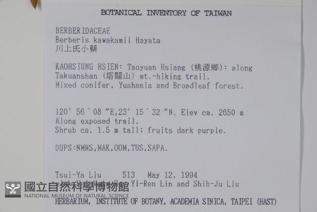 臺灣小蘗藏品圖，第2張