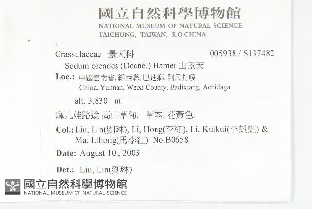 山景天藏品圖，第2張