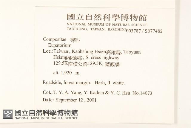 登錄號:S077482藏品圖，第2張